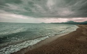 Appartement T2 les pieds dans l'eau à Argeles-Sur-Mer